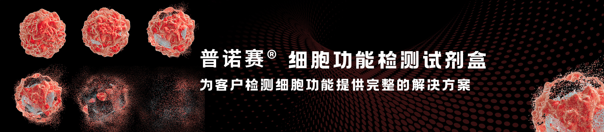 細(xì)胞功能檢測(cè)試劑盒