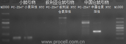 1661234167697650.png 640 (1).png