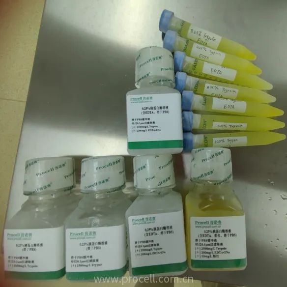 胰酶冷凍后變黃 胰酶冷凍后變黃