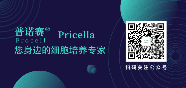 普諾賽公眾號 普諾賽公眾號