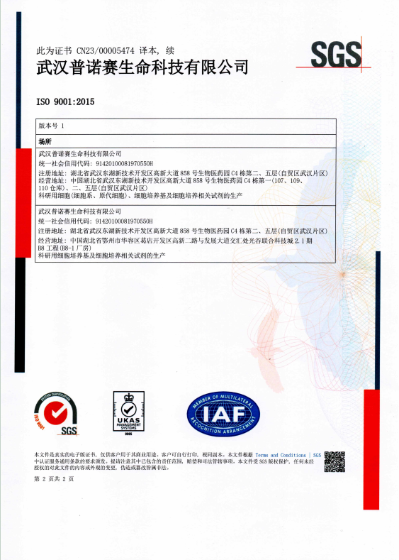 1702257912926509.png new-2.png