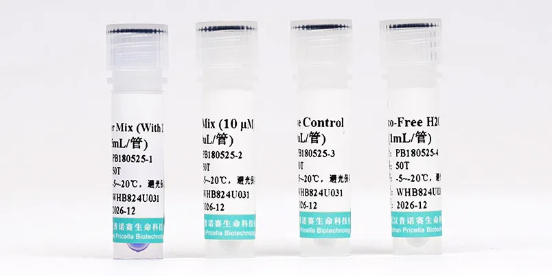 支原體快速檢測(cè)試劑盒(PCR法) 50 Tests 支原體快速檢測(cè)試劑盒(PCR法) 50 Tests