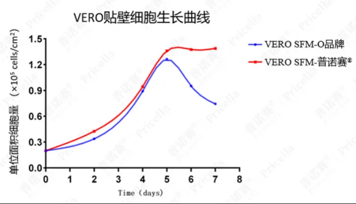 普諾賽?VERO無血清培養(yǎng)基與O品牌VERO無血清培養(yǎng)基培養(yǎng)效果對比 普諾賽?VERO無血清培養(yǎng)基與O品牌VERO無血清培養(yǎng)基培養(yǎng)效果對比