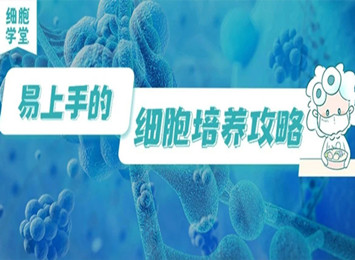 實驗指南欄目相關圖片