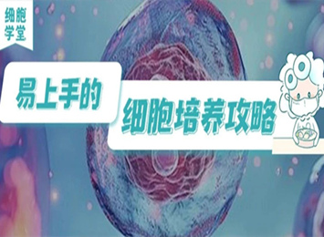 實驗指南欄目相關圖片