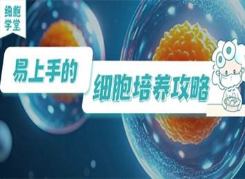 實驗指南欄目相關圖片