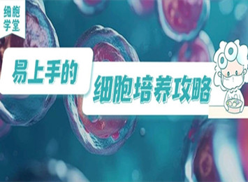 實驗指南欄目相關圖片