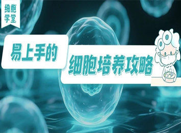 實驗指南欄目相關圖片