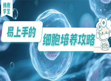 實驗指南欄目相關圖片
