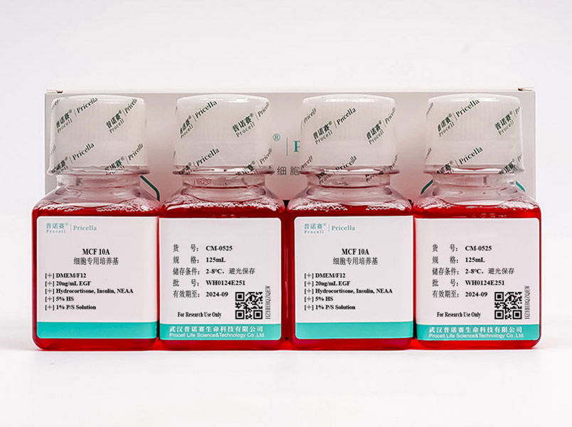 MCF 10A細胞專用培養(yǎng)基