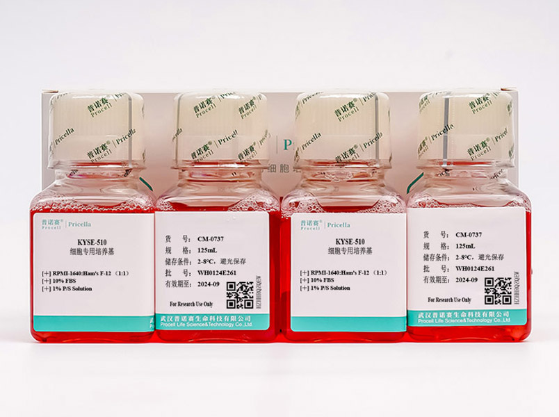 KYSE-510細(xì)胞專(zhuān)用培養(yǎng)基