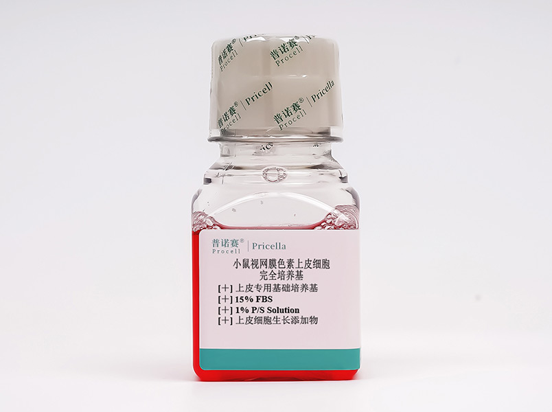 小鼠視網(wǎng)膜色素上皮細胞完全培養(yǎng)基