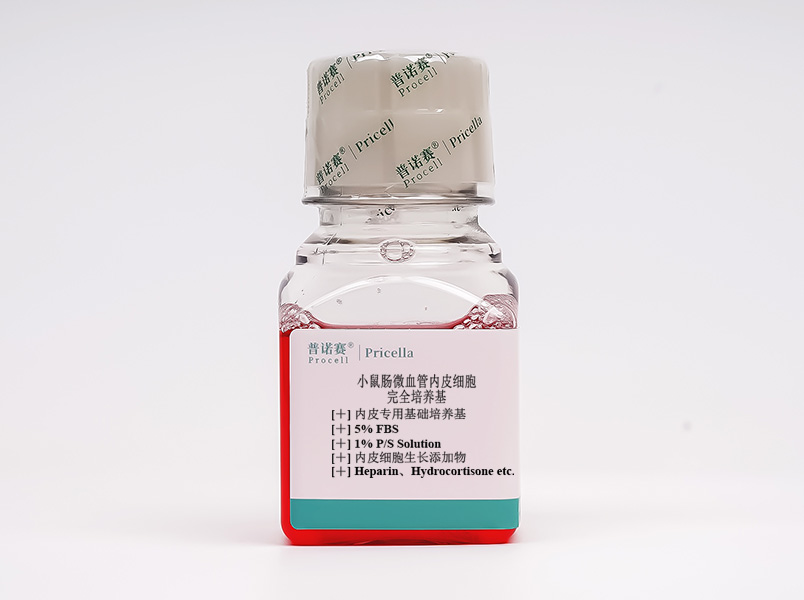 小鼠腸微血管內(nèi)皮細胞完全培養(yǎng)基