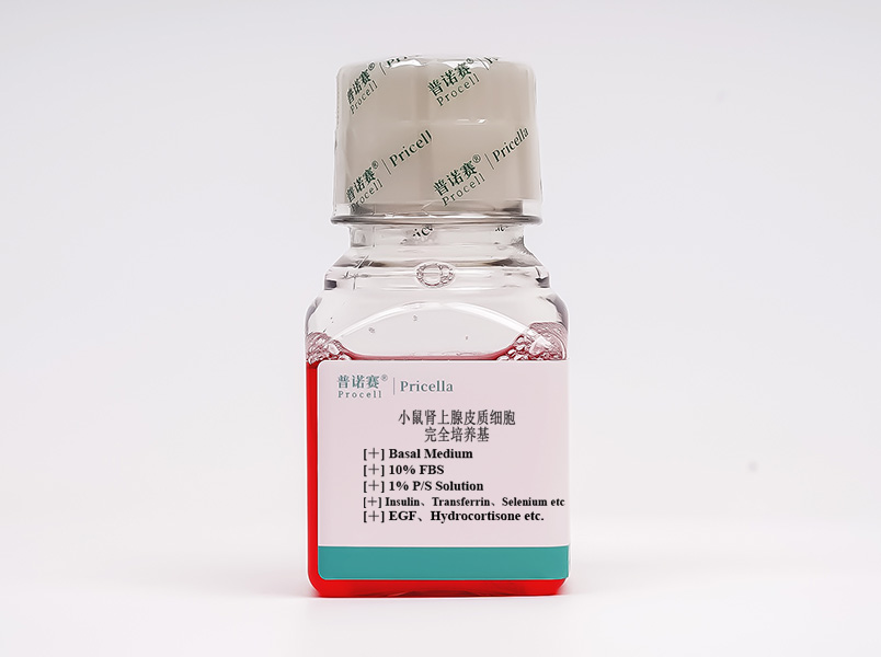 小鼠腎上腺皮質細胞完全培養(yǎng)基