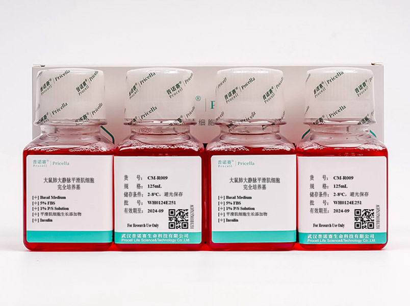 大鼠肺大靜脈平滑肌細(xì)胞完全培養(yǎng)基