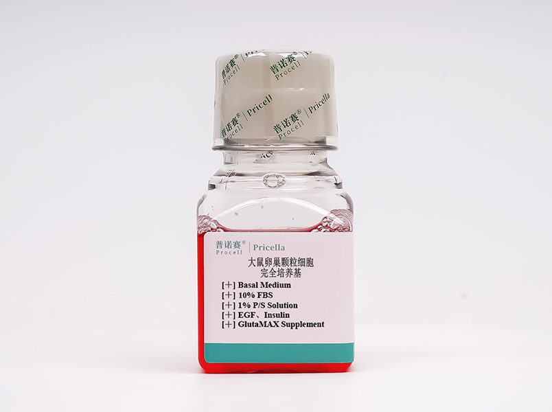 大鼠卵巢顆粒細(xì)胞完全培養(yǎng)基