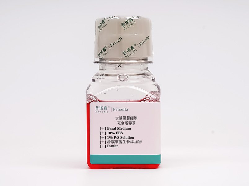 大鼠滑膜細(xì)胞完全培養(yǎng)基