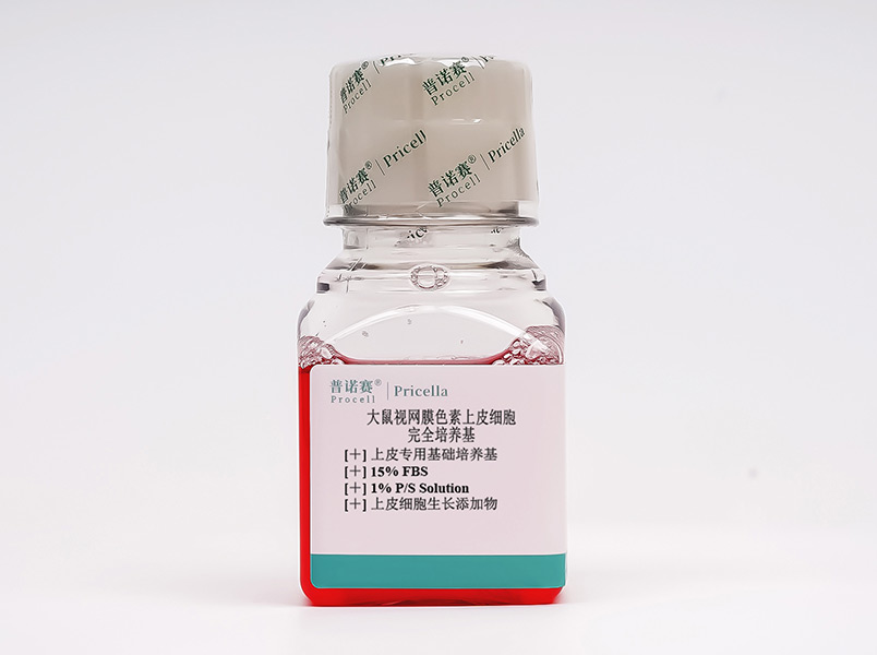 大鼠視網(wǎng)膜色素上皮細(xì)胞完全培養(yǎng)基