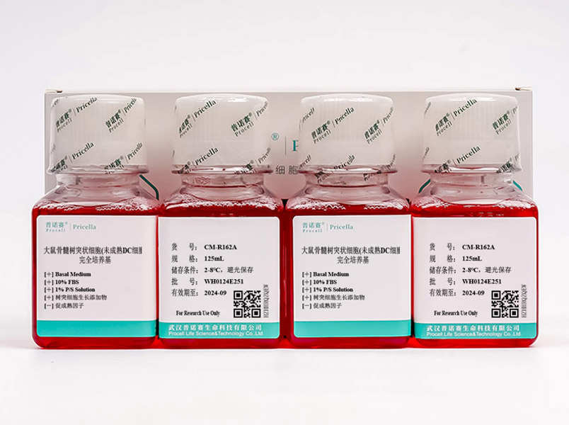 大鼠骨髓樹(shù)突狀細(xì)胞(未成熟DC細(xì)胞)完全培養(yǎng)基