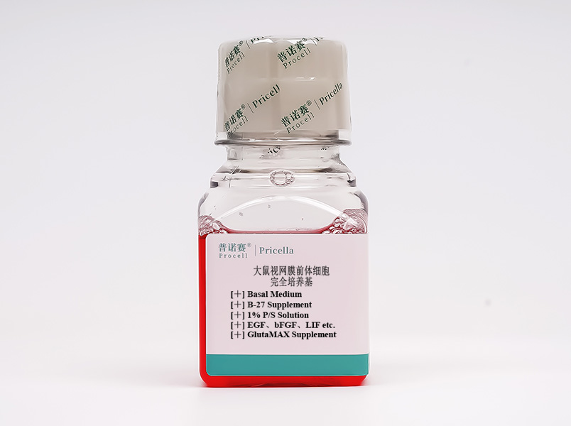 大鼠視網(wǎng)膜前體細胞完全培養(yǎng)基