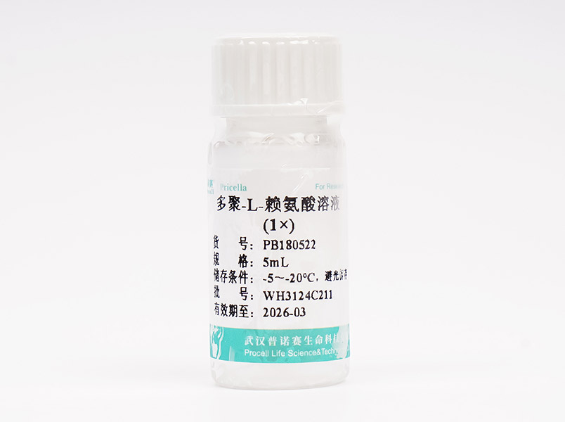 多聚-L-賴氨酸溶液（1×）