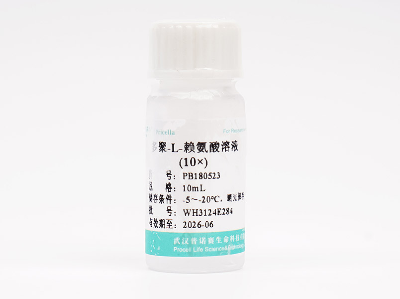 多聚-L-賴氨酸溶液（10×）