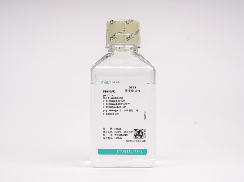 Dulbecco's 磷酸鹽緩沖液（DPBS）10×，不含鈣、鎂、酚紅