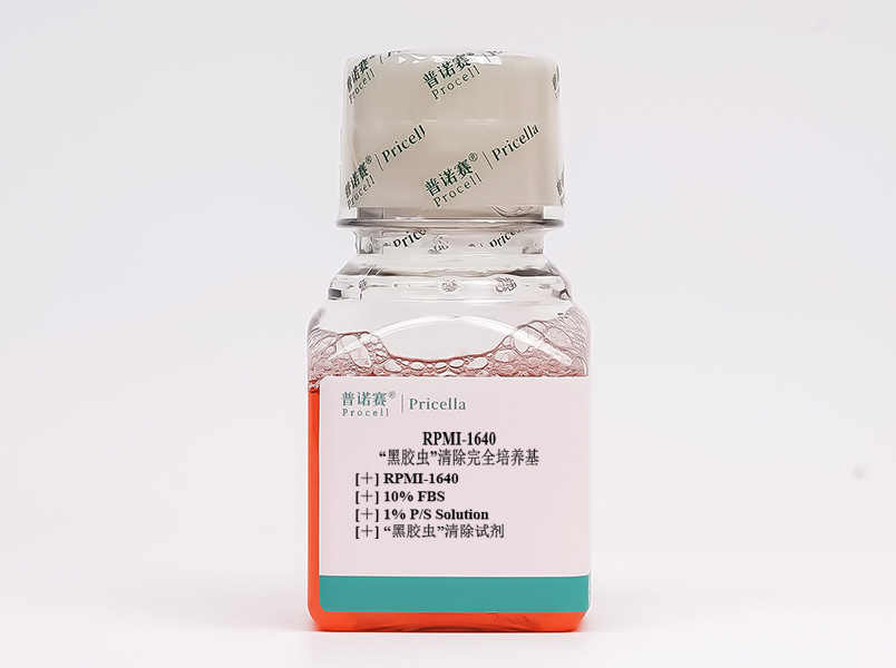 “黑膠蟲(chóng)”清除完全培養(yǎng)基(RPMI-1640，含10%FBS)