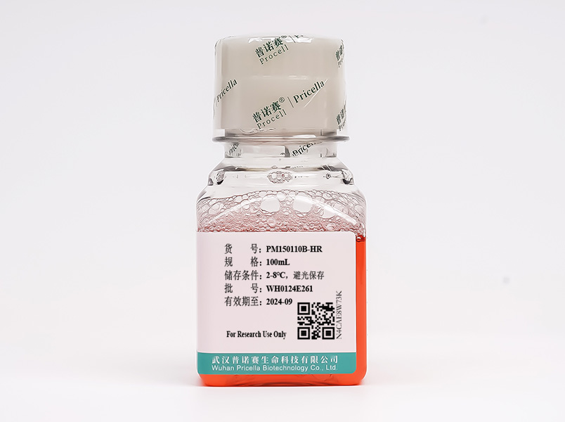 “黑膠蟲”清除完全培養(yǎng)基(RPMI-1640，含10%FBS)