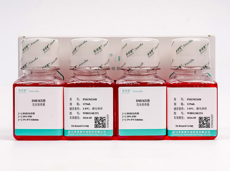 “黑膠蟲”清除完全培養(yǎng)基(DMEM高糖，含10%FBS)