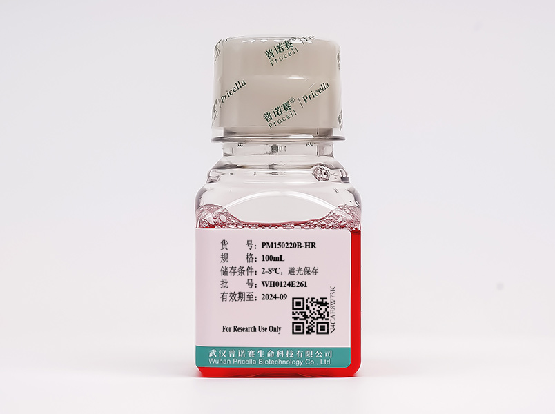 “黑膠蟲”清除完全培養(yǎng)基(DMEM低糖，含10%FBS)