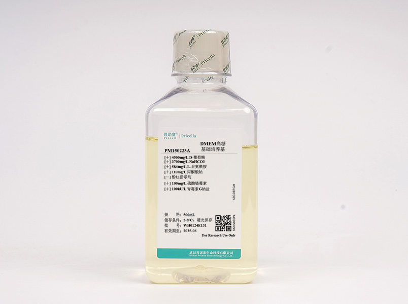 DMEM高糖（不含酚紅，含雙抗）