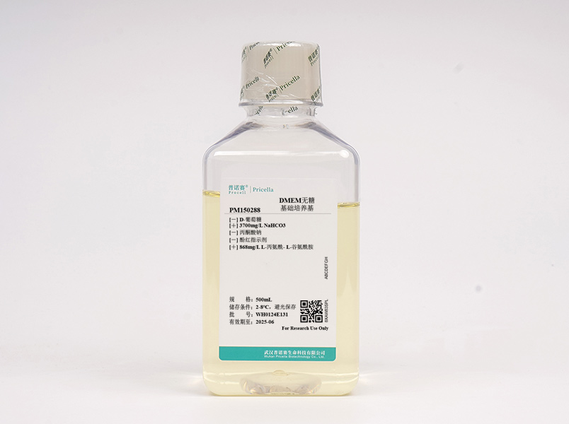 DMEM無糖 (含L-丙氨酰-L-谷氨酰胺，不含丙酮酸鈉、酚紅)