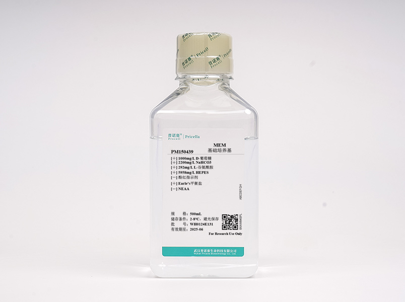 MEM（不含酚紅，含HEPES）