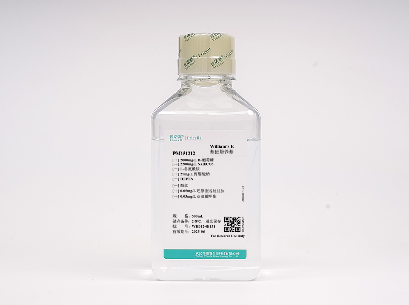William's E（不含酚紅、L-谷氨酰胺）