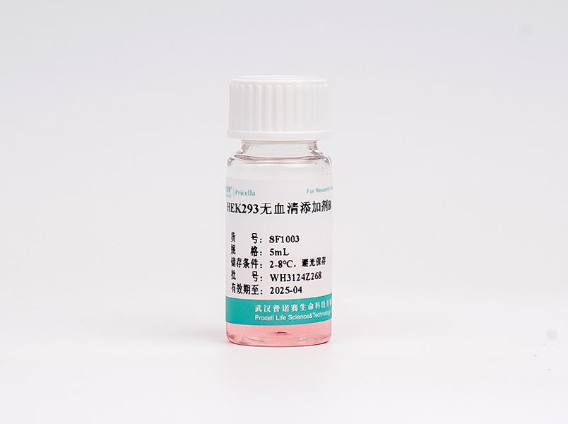 HEK293無血清補料B
