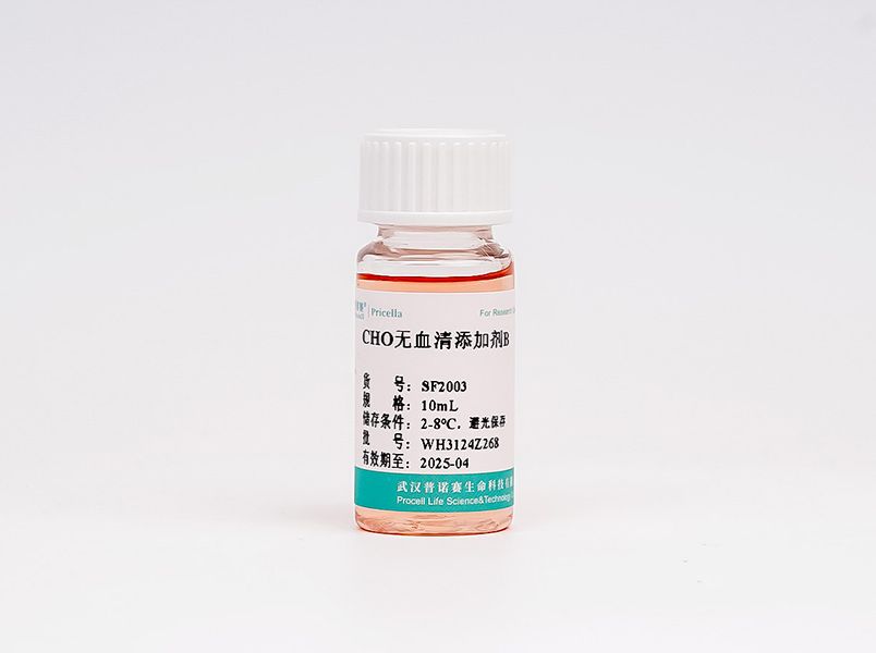CHO無血清補料B
